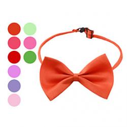 Low Price on Elegant Adjustable Bowtie Collar Necklace for Dogs (Random Colors)